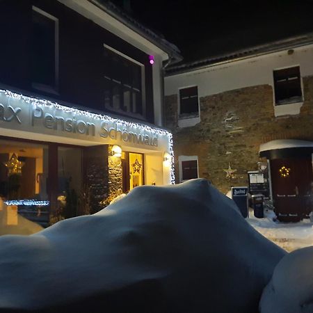 Relax pension Schonwald Budisov nad Budisovkou Dış mekan fotoğraf