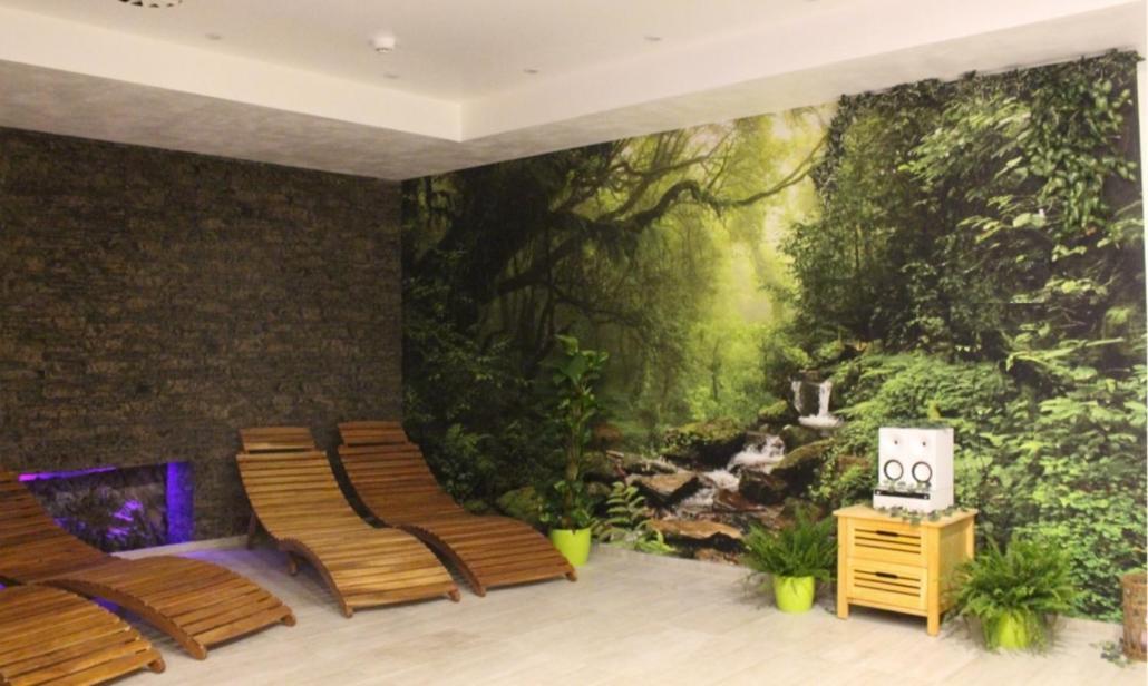 Relax pension Schonwald Budisov nad Budisovkou Dış mekan fotoğraf